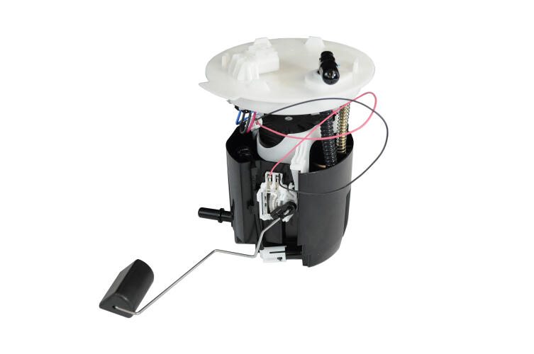 Livernois Motorsports Livernois Motorsports Dual Fuel Pump Kit 2014-2017 Chevrolet SS Sedan