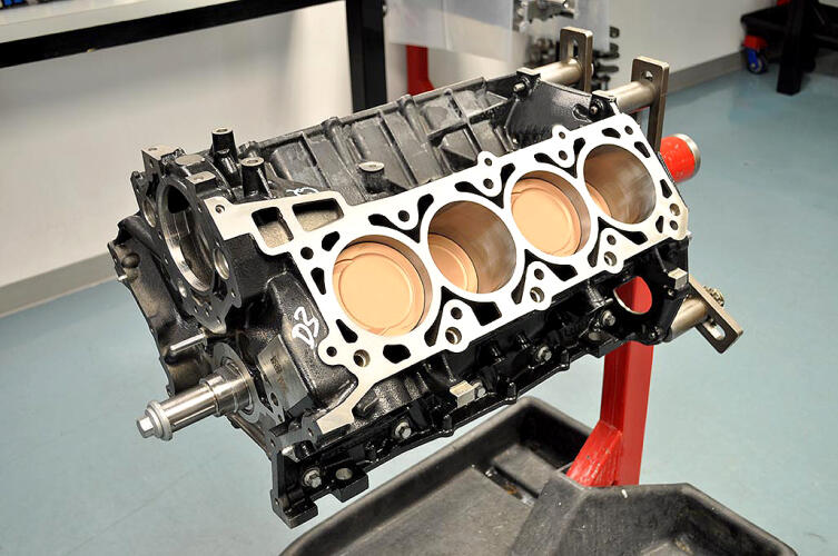 Livernois Motorsports LIVERNOIS MOTORSPORTS 6.6L RAPTOR RACE SERIES SHORTBLOCK 9.5:1