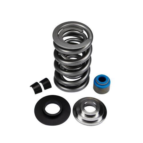 Livernois Motorsports LIVERNOIS MOTORSPORTS LS-ENGINE DUAL SPRING KIT – COMPLETE – TITANIUM RETAINER