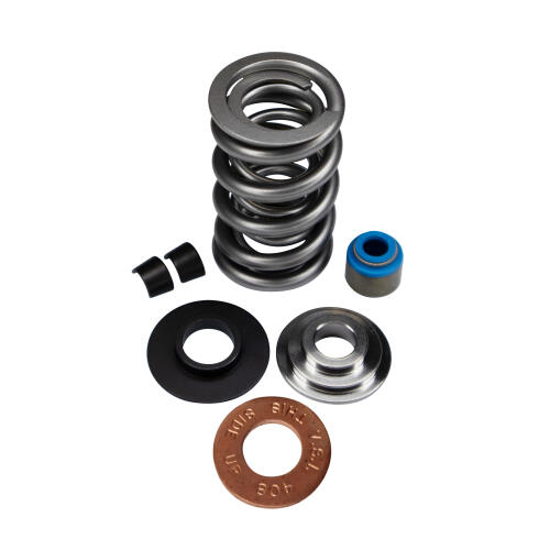 Livernois Motorsports LIVERNOIS MOTORSPORTS LT1 – ENGINE DUAL SPRING KIT – COMPLETE – TITANIUM RETAINER