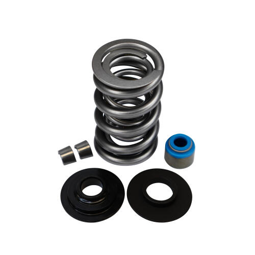 Livernois Motorsports LIVERNOIS MOTORSPORTS LS-ENGINE DUAL SPRING KIT - COMPLETE - TITANIUM RETAINER