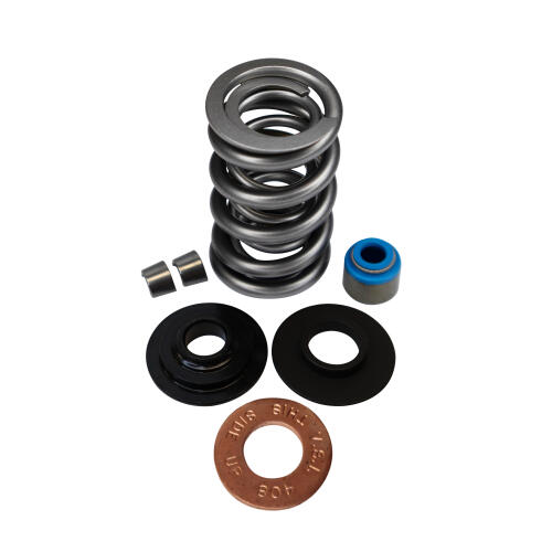 Livernois Motorsports LIVERNOIS MOTORSPORTS LT1 - ENGINE DUAL SPRING KIT - COMPLETE - TITANIUM RETAINER