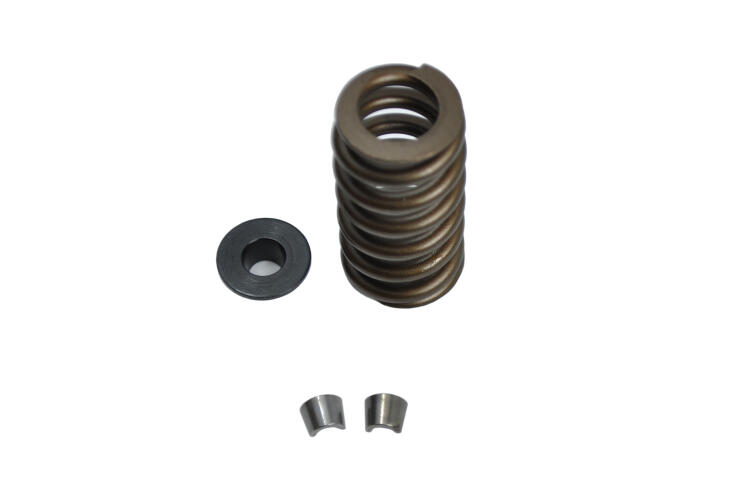 Livernois Motorsports FORD 3 VALVE COMPLETE VALVE SPRING KIT