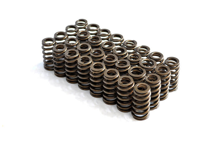 Livernois Motorsports 2018-2022 Ford 5.0 4V Livernois Motorsports Coyote Valve Spring Set